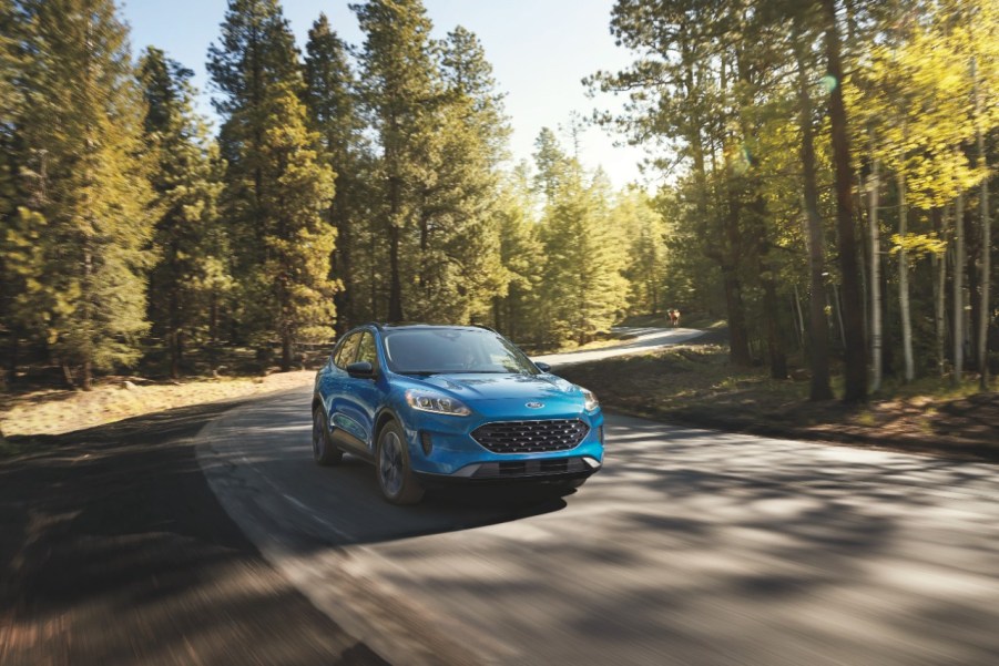 A 2022 Ford Escape driving in the woods