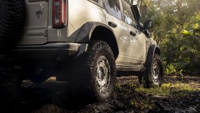 The rear end of a 2022 Ford Bronco Everglades SUV.