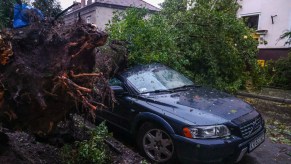 A car accident involving a tree.