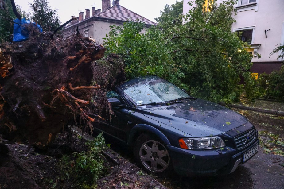 A car accident involving a tree. 