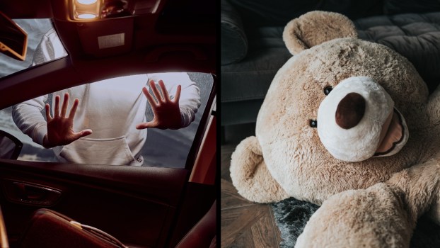 Car Thief Arrested After Found Hiding in Giant Teddy Bear