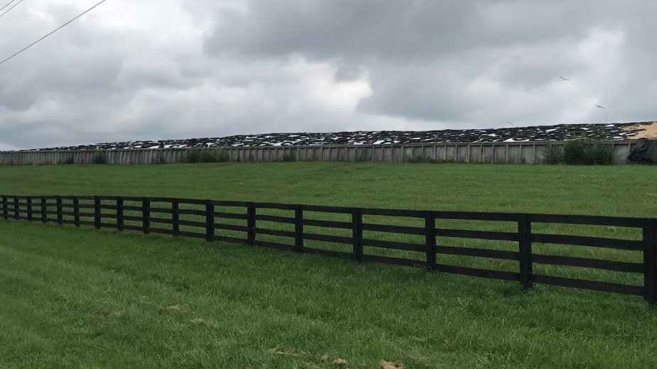 Dairy farm with fence and old car tires on big white plastic tarp for feed pile