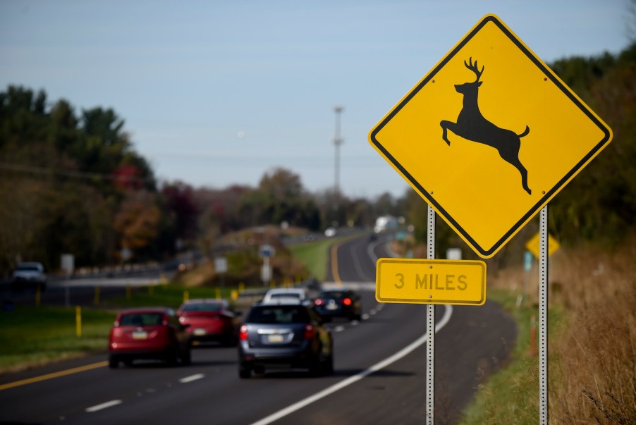 A yellow deer crossing sign beside a highway.