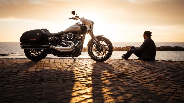 A man sits next to his motorcycle, staring at the ocean beyond, flagstones visible in the foreground.