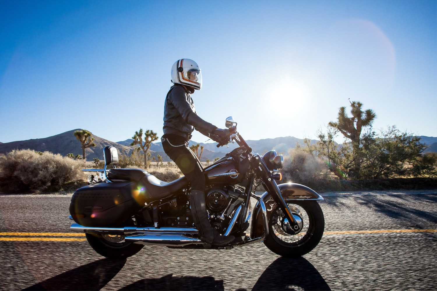 A Harley Davidson motorcycle rider standing up while navigating a paved road through the desert.