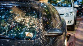 Bird poop on a car