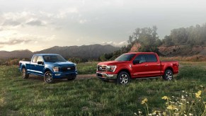 two 2022 Ford F-150 trucks