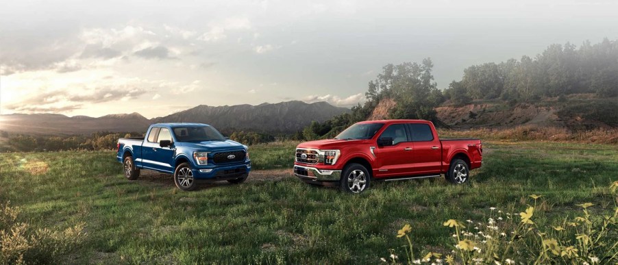 two 2022 Ford F-150 trucks