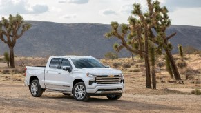 a white Chevy Silverado parked in the desert