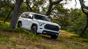 White Toyota Sequoia TRD Pro SUV off-roading, grass visible in the foreground and trees visible behind it.