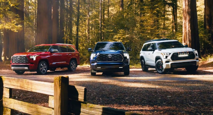 Three Toyota Sequoia full-size SUVs are parked.