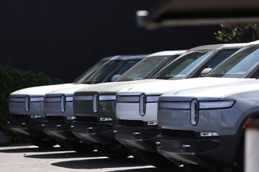 The front of several Rivian R1T trucks in a row.