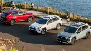 Three Toyota RAV4 small SUVs are parked.