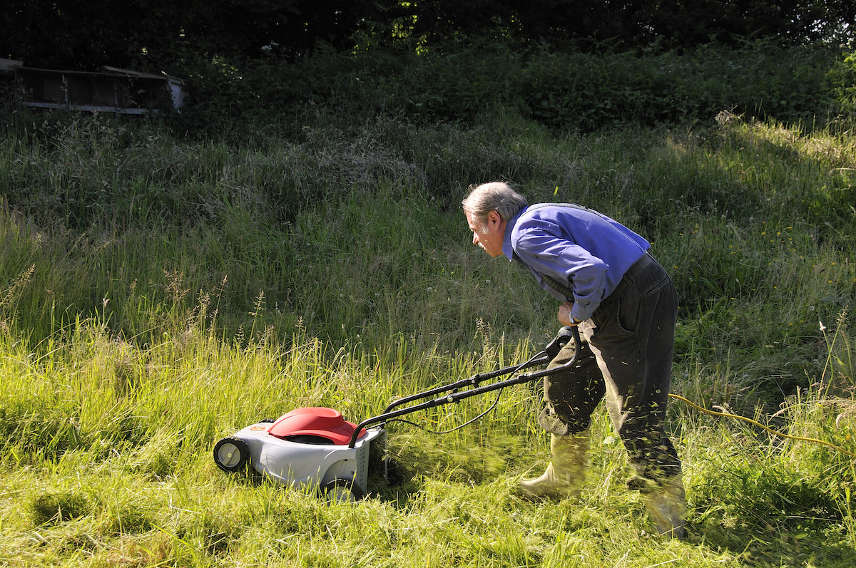 lawn mower dead, lawnmower dead