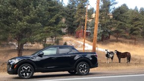 2022 Hyundai Santa Cruz parked next to horses.