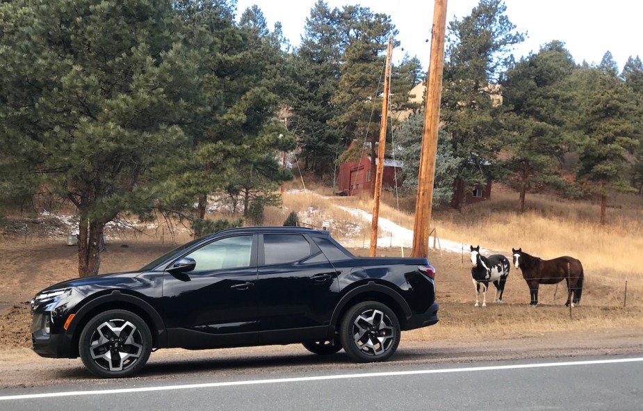 2022 Hyundai Santa Cruz parked next to horses.