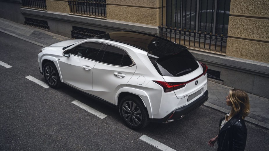 2023 Lexus UX250 rear