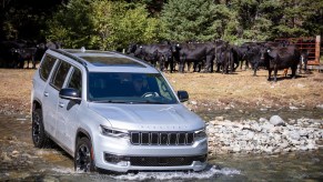 Silver Wagoneer Jeep SUV fording a river in front of a herd of cows for a promo photo.