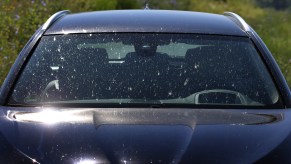 A series of bug splatters spread across the windshield of a black car.