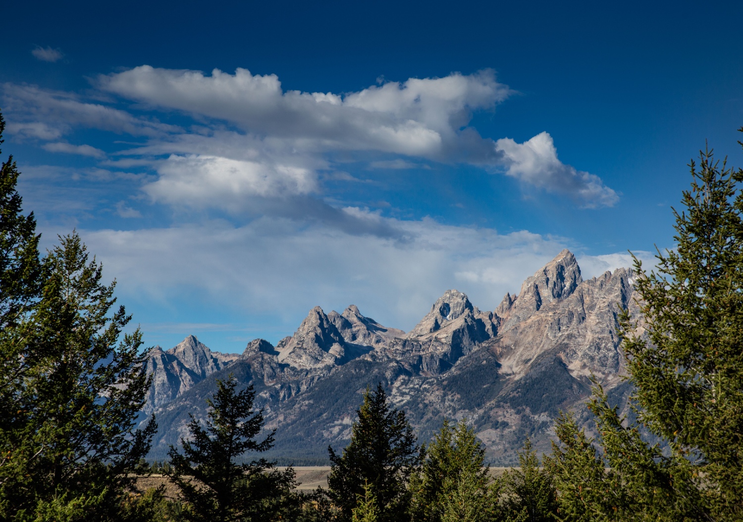 The most pickup trucks in any state? That would be Wyoming.