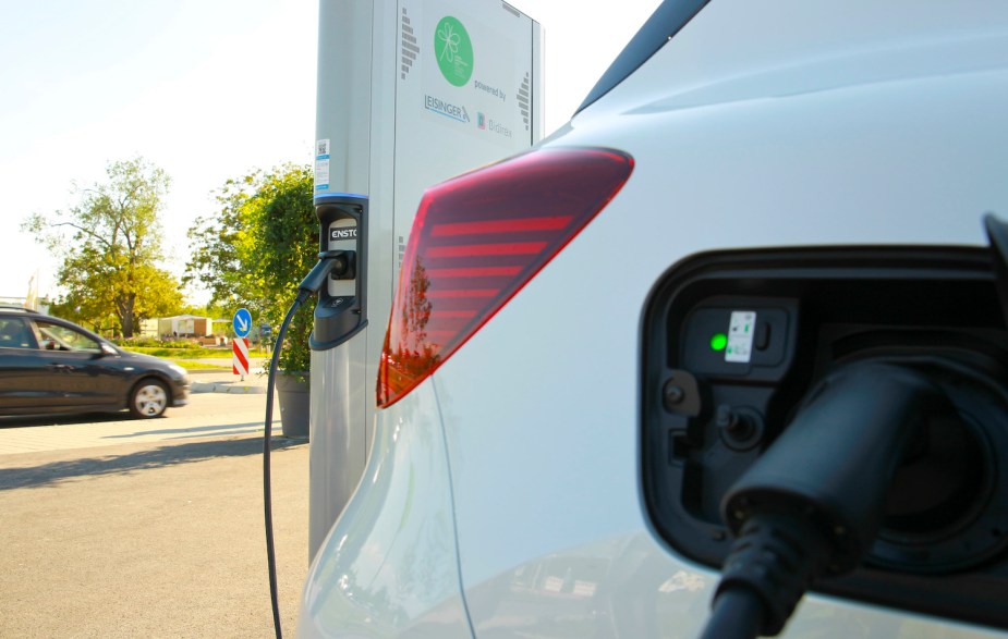 Closeup of a cable plugged into the charging port of a white Renault PHEV, trees visible in the background.