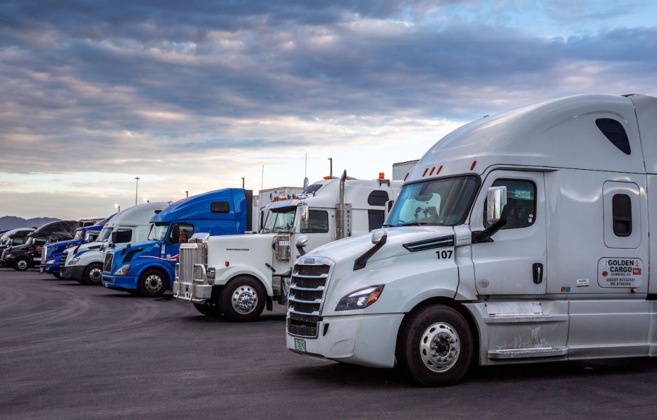 A group of people who decided on becoming a truck driver and their trucks. 