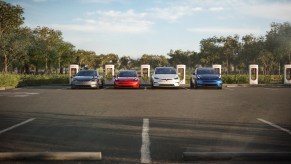 A row of used Tesla electric vehicles all plugged into Supercharger stations, trees visible in the background.