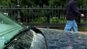 A car sits covered in pollen