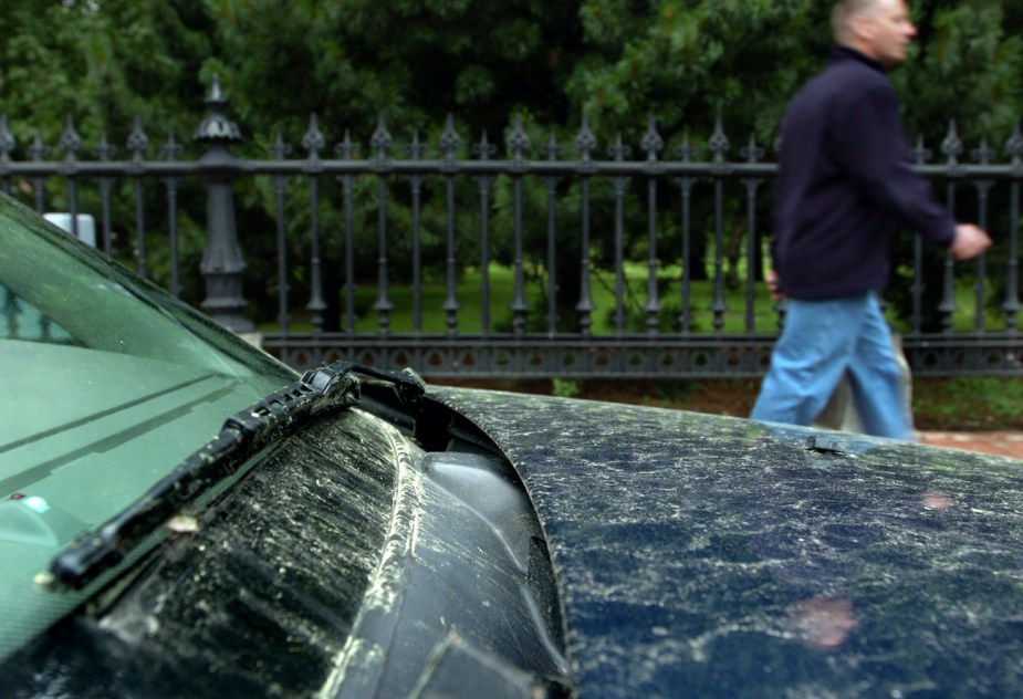 A car sits covered in pollen