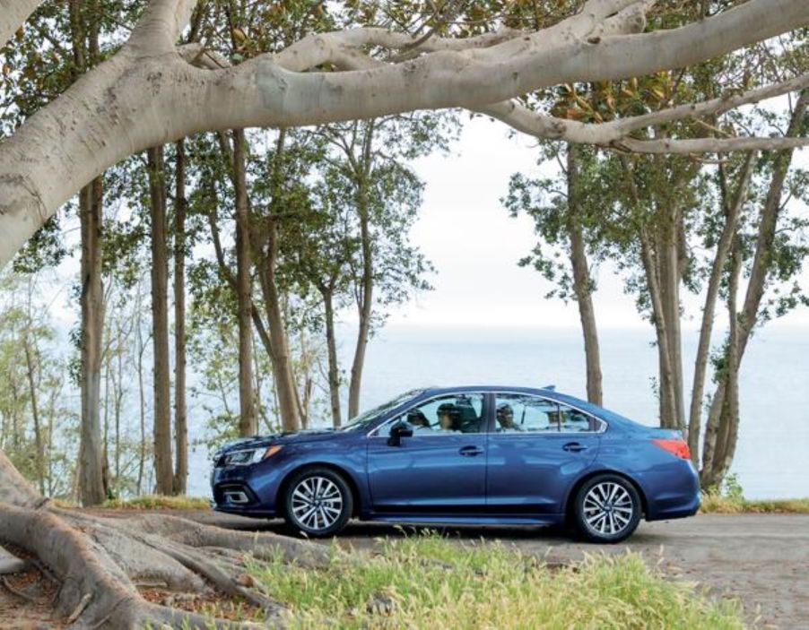 A side profile shot of a 2019 Subaru Legacy midsize sedan model parked under a white bark branch of a tree