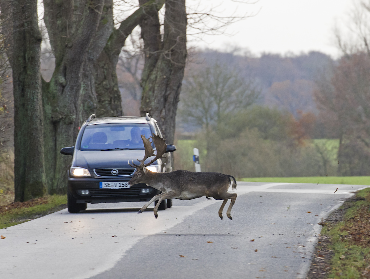 5 most common car crashes and how to avoid them