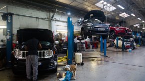 People working on cars that possibly have the most expensive 10-year maintenance.