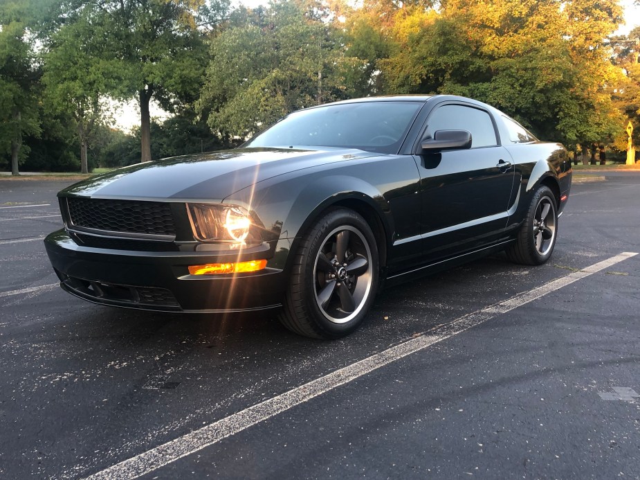 A 2008 Ford Mustang Bullitt, whose car name is Ella, poses for a picture in a park.