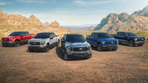 Ford F-150 full-size pickup trucks are parked outdoors.