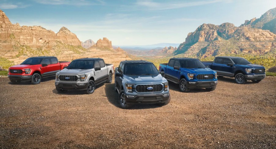 Ford F-150 full-size pickup trucks are parked outdoors.