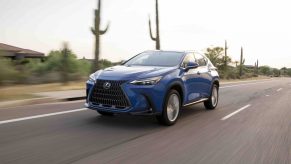 A blue Lexus NX350h hybrid crossover SUV driving through the desert for a promotional photo, cacti visible in the background.