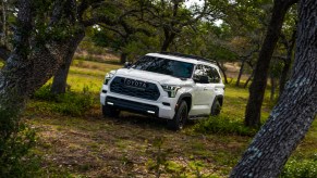 A white 2023 Toyota Sequoia TRD Pro SUV parked on a 4WD trail, amongst a stand of pine trees.