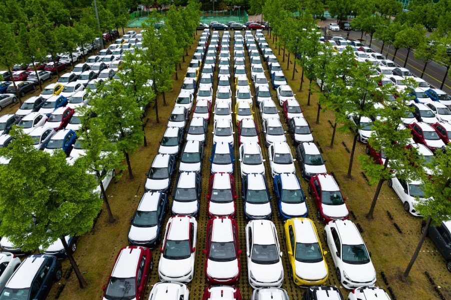 A group of white Kia cars that are sitting among trees, hopefully avoiding depreciation.