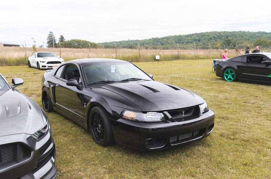 This Ford Mustang SVT Cobra Terminator is a supercharged beast.