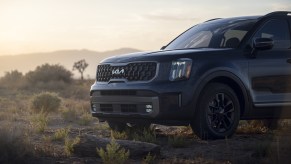 The Kia Telluride pictured here