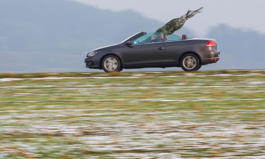 A woman in a convertible car transports a Christmas tree.