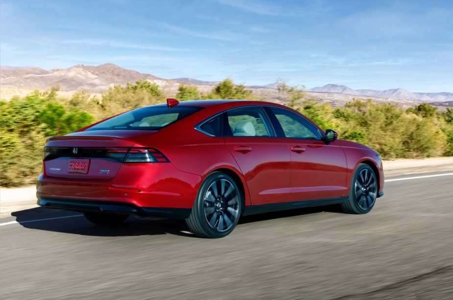 2023 Honda Accord rear view