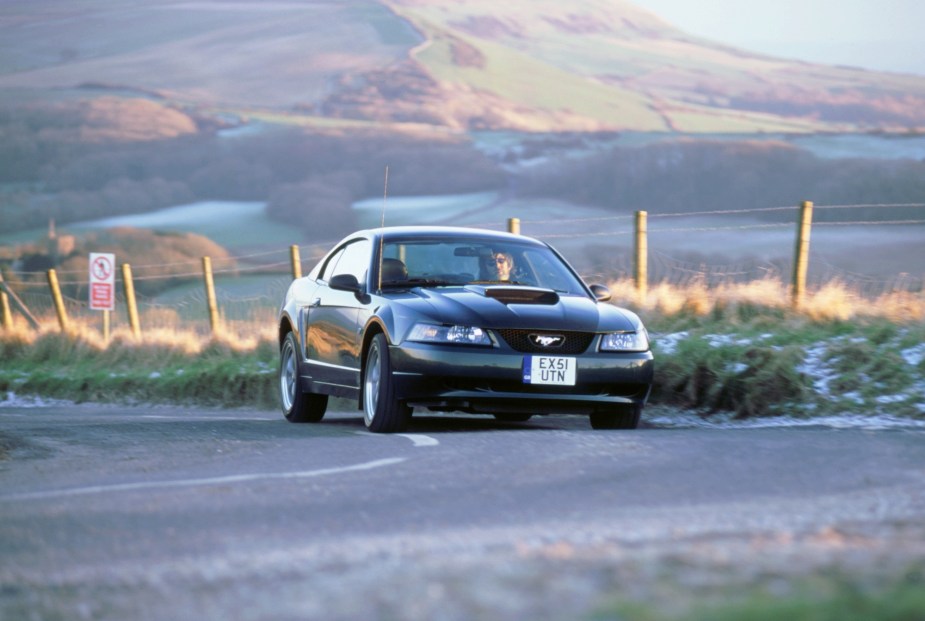 A 2001 Ford Mustang Bullitt is one of the special editions from the SN95 generation, just like the Cobra Mustang. 