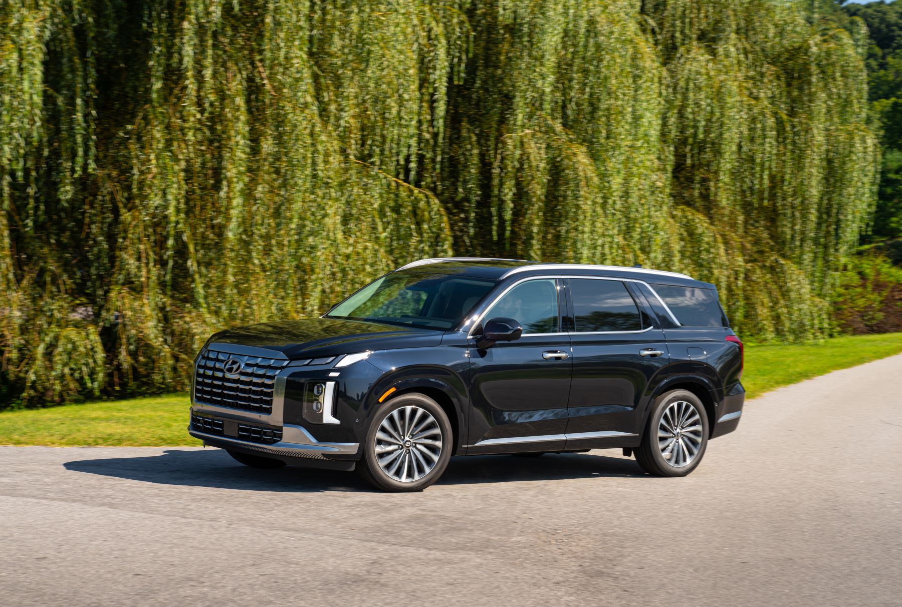 A dark colored 2023 Hyundai Palisade midsize crossover SUV model framed by leafy tree branches