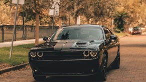 A black Dodge Challenger is parked on the street in front of a row of trees.