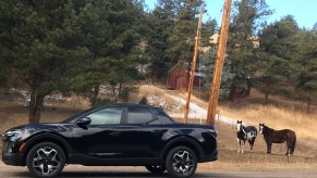 2022 Hyundai Santa Cruz next to horses