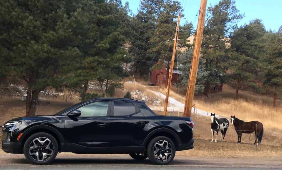 2022 Hyundai Santa Cruz next to horses