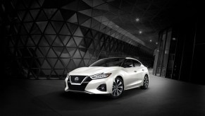 A white Nissan Maxima poses against a dark background.