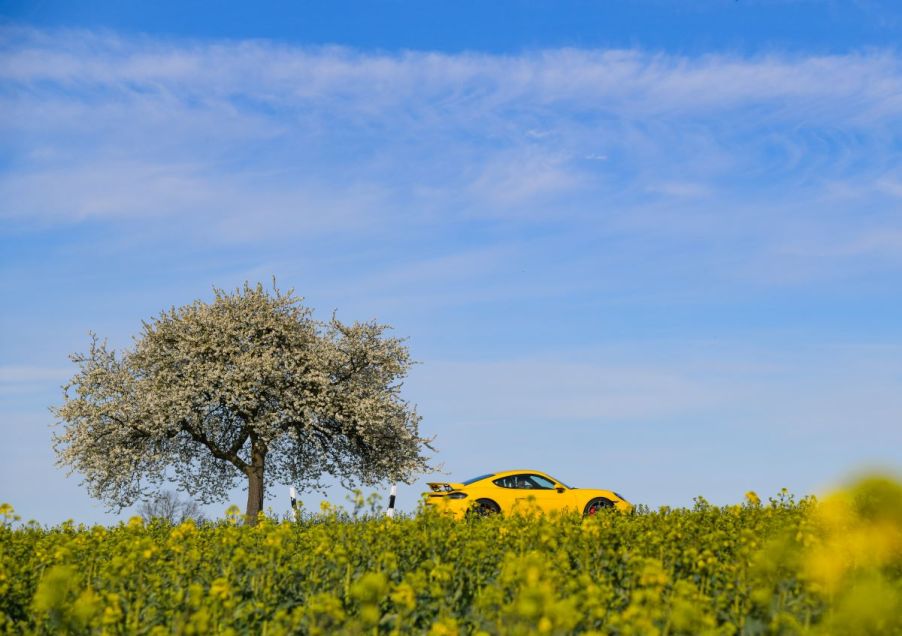 A car drives down the road during the spring