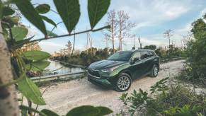 A 2023 Toyota Highlander Limited through the bushes